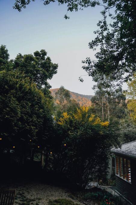 Harrys House Warburton - Peaceful Riverside Cottage In The Perfect Location المظهر الخارجي الصورة